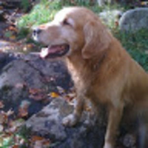 Meet your Posher, Rob